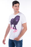 ARMANI EXCHANGE x PAUL FUENTES T-Shirt Top Size L Lion Skate Print Crew Neck gallery photo number 4